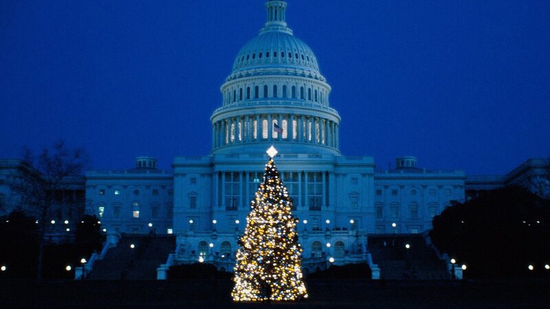 Christmas tree at US Capitol