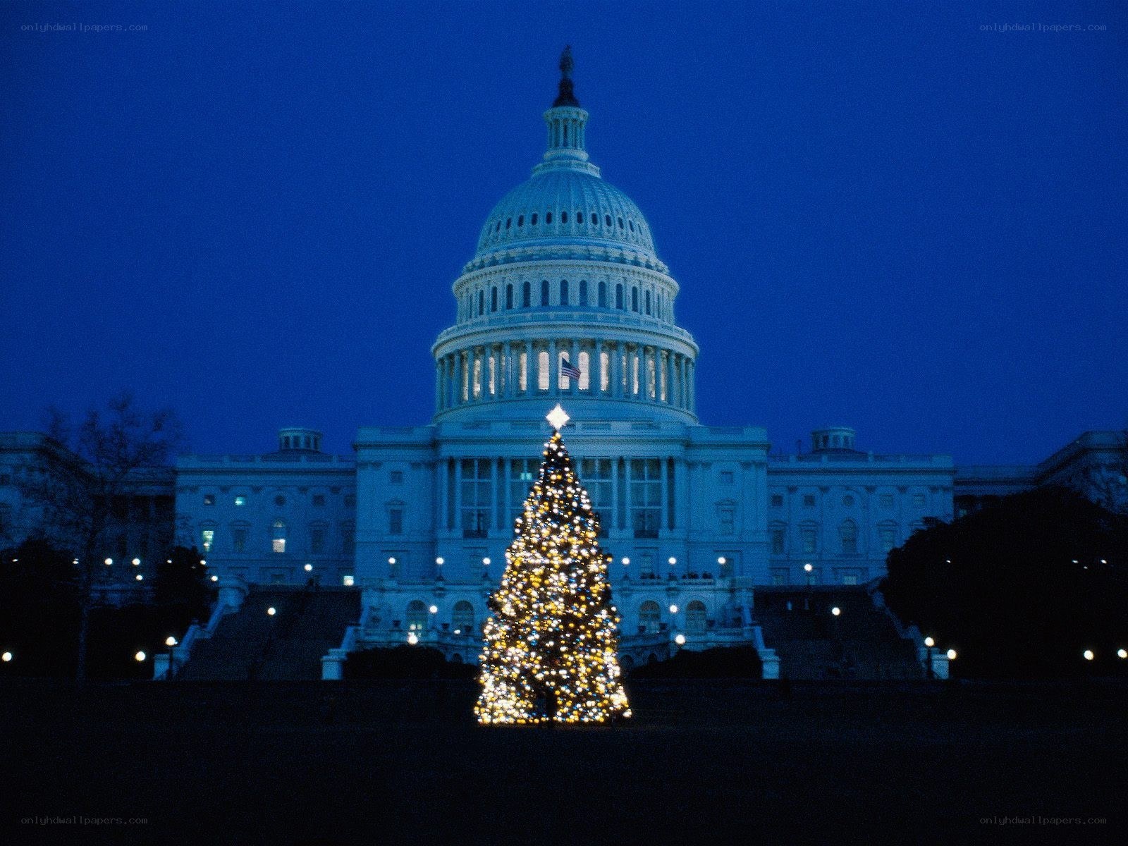 Christmas tree at US Capitol