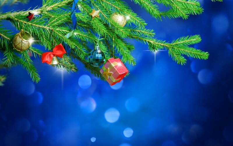 Christmas Tree Branch — Green, Festive, Winter