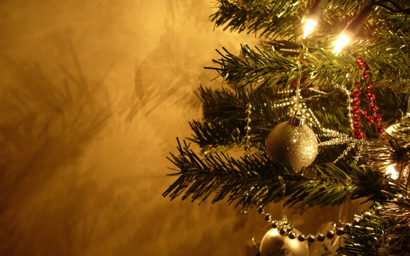 Christmas Tree Branch — Green, Warm
