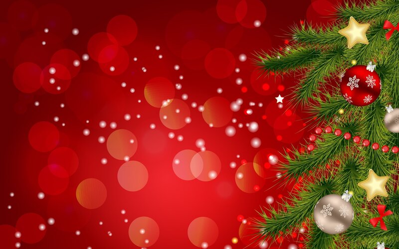 Christmas Tree Branch — Red, Festive, Winter