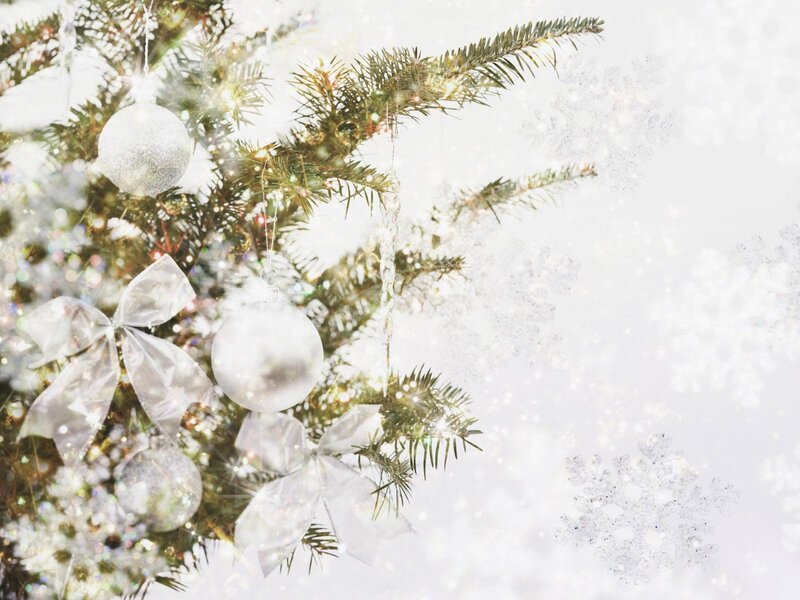 Christmas Tree Branch — White