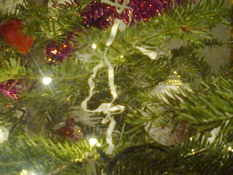 Christmas Tree Branches — Green, Festive, Night, Photograph