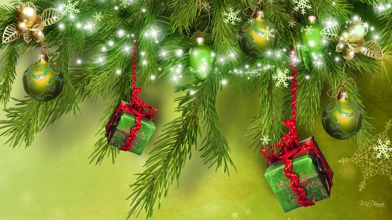 Christmas Tree Branches — Green, Festive, Winter