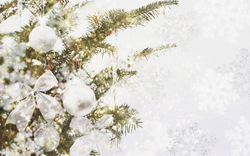 Christmas Tree Branches — White, Festive