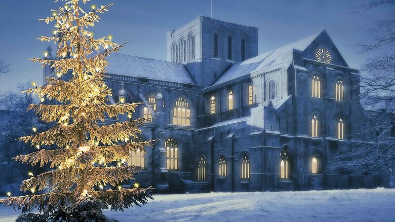 Christmas tree by a cathedral