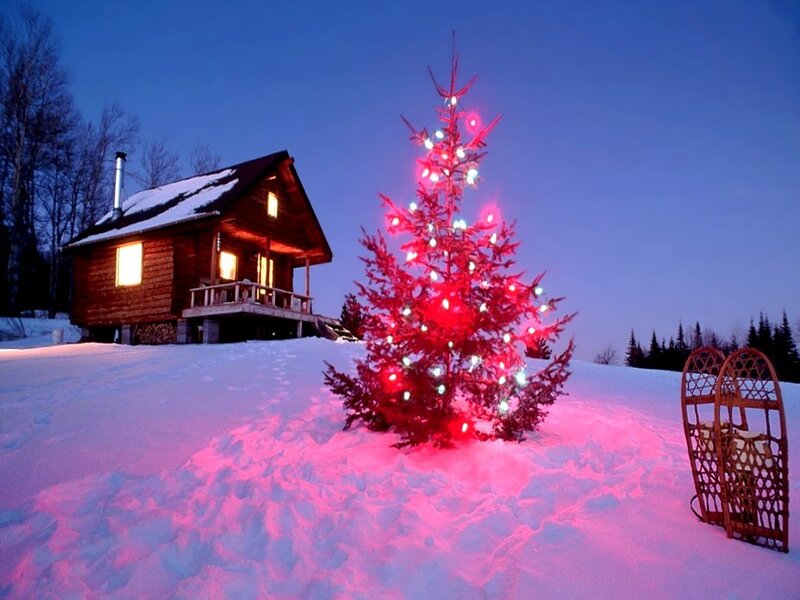 Christmas tree by cabin in snow