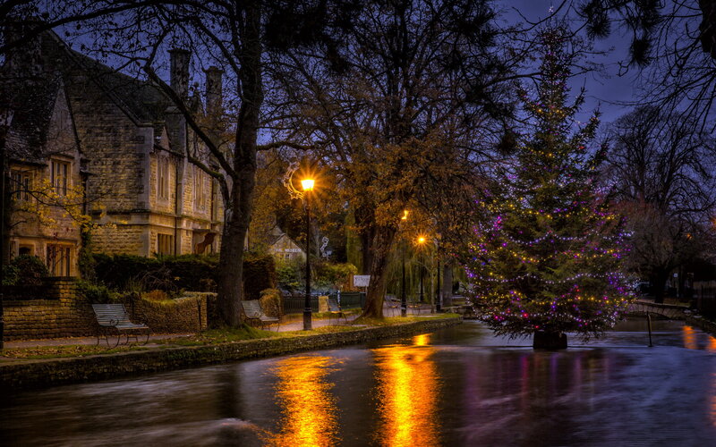 Christmas Tree by River — Blue