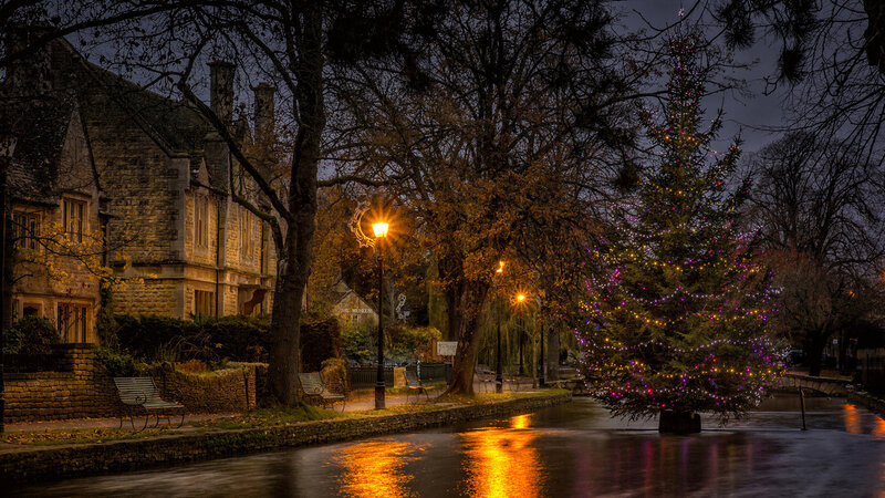 Christmas Tree by River — Yellow