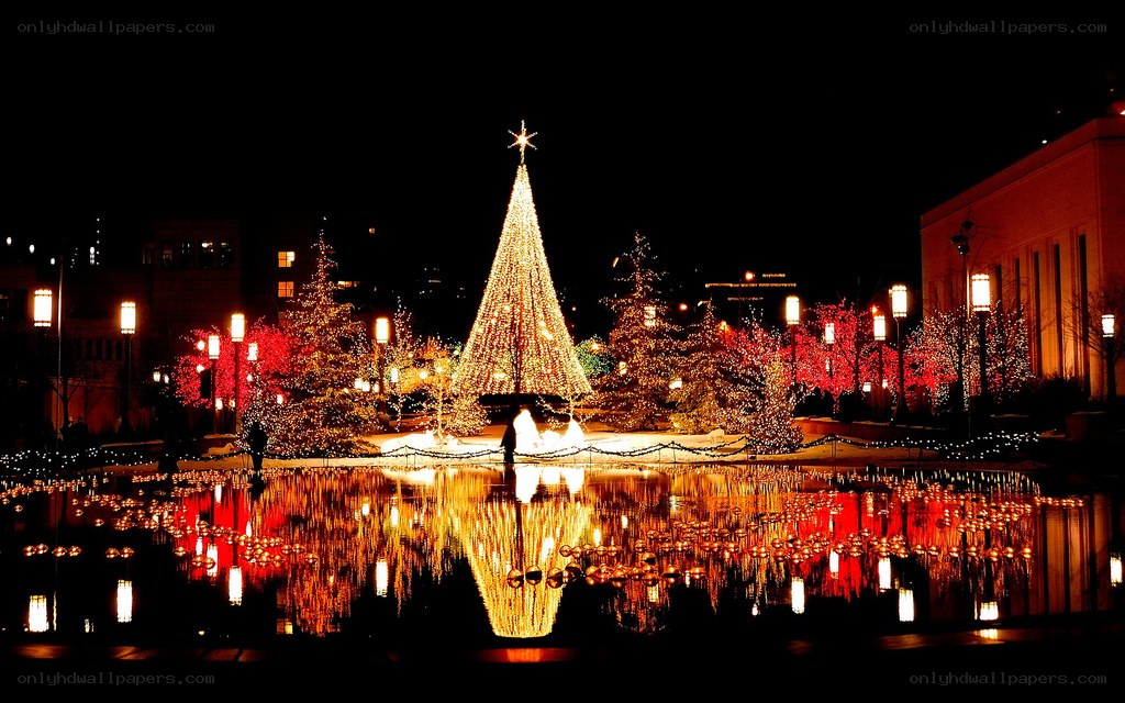 Christmas tree by the water