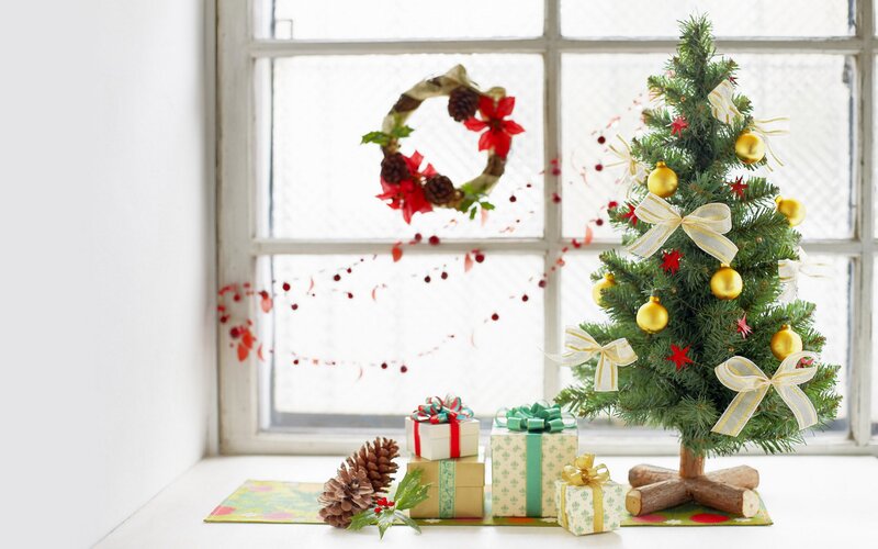 Christmas tree by the window