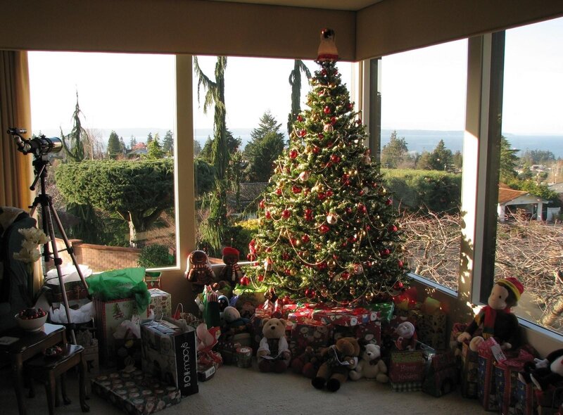 Christmas tree by the window