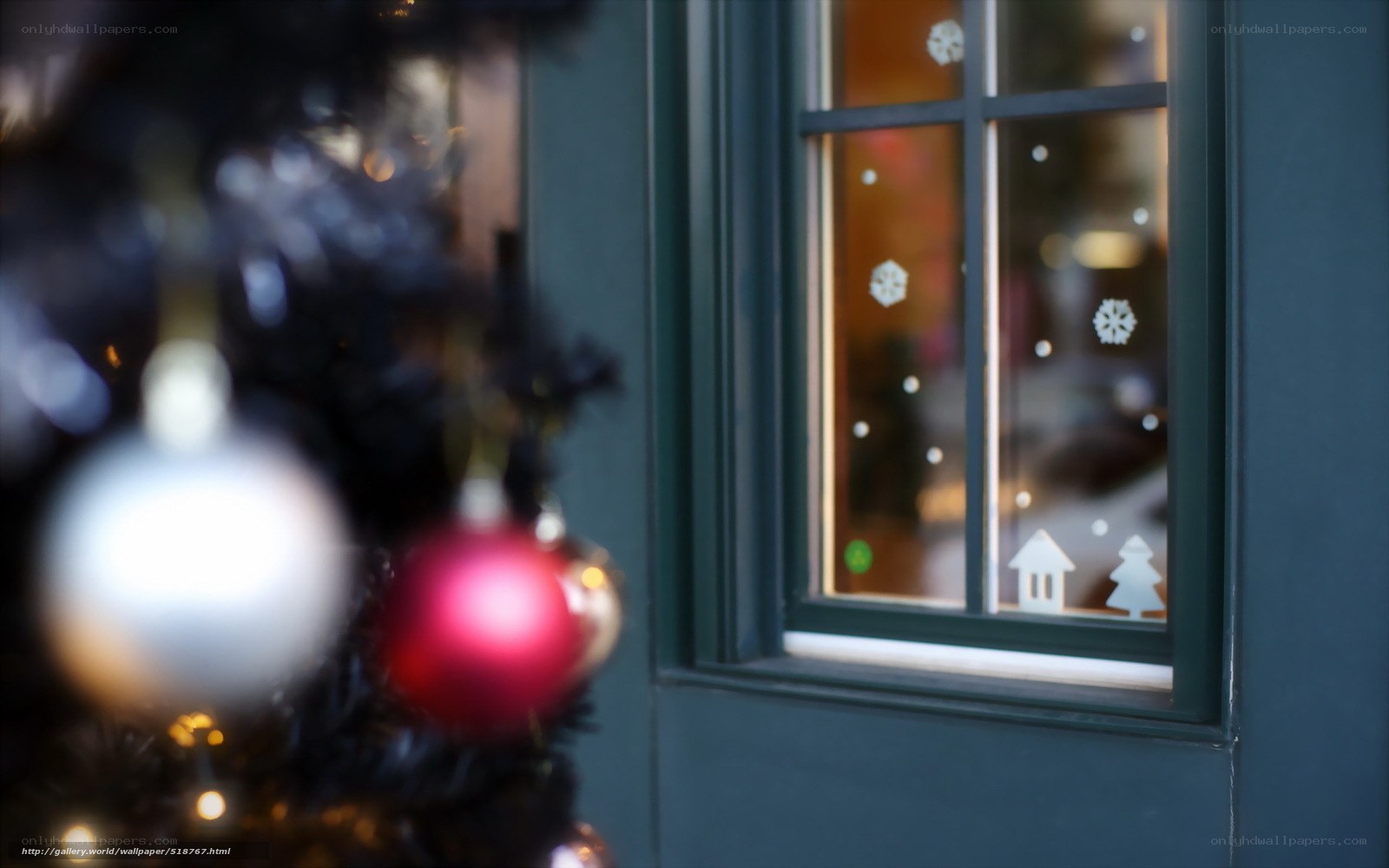 Christmas tree by window