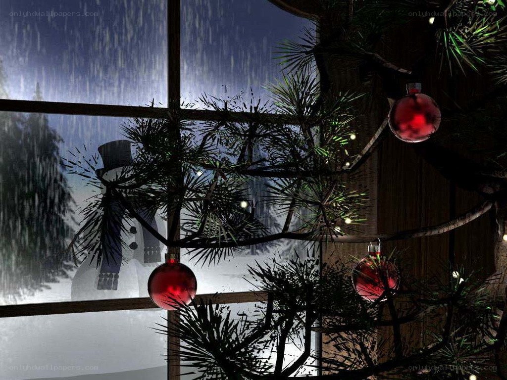 Christmas tree by window