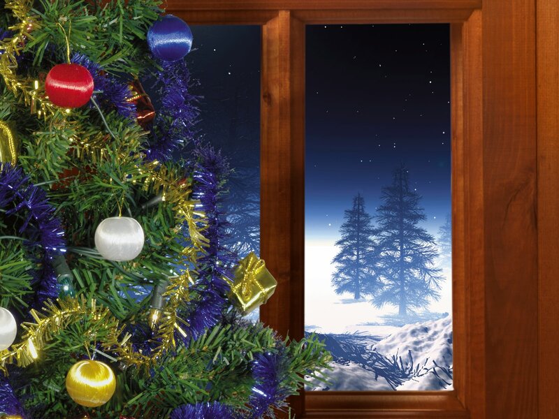 Christmas Tree by Window — Green