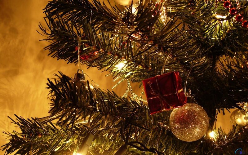 Christmas tree close-up