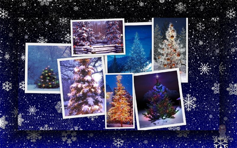 Christmas tree collage