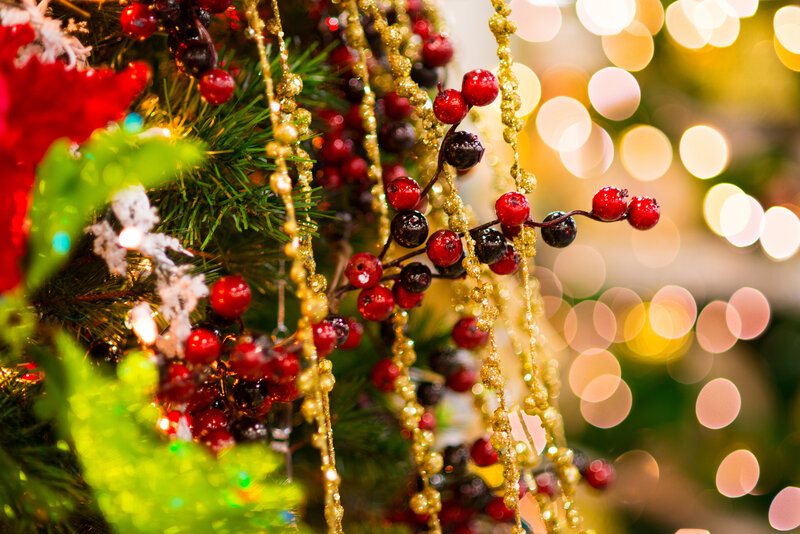 Christmas Tree Decorations — Red, Festive, Winter, Photograph, Berries