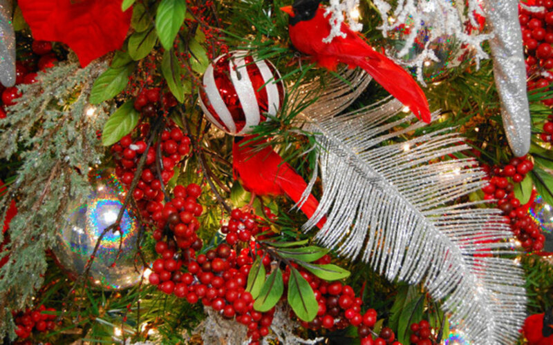 Christmas Tree Decorations — Red, Festive, Winter, Photograph, Red Berries
