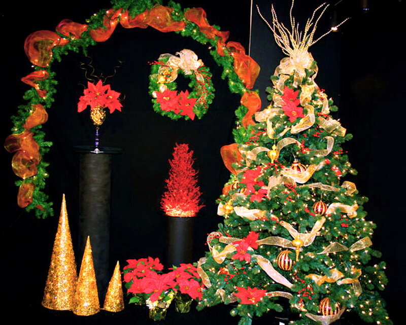 Christmas Tree Display — Green, Festive, Night