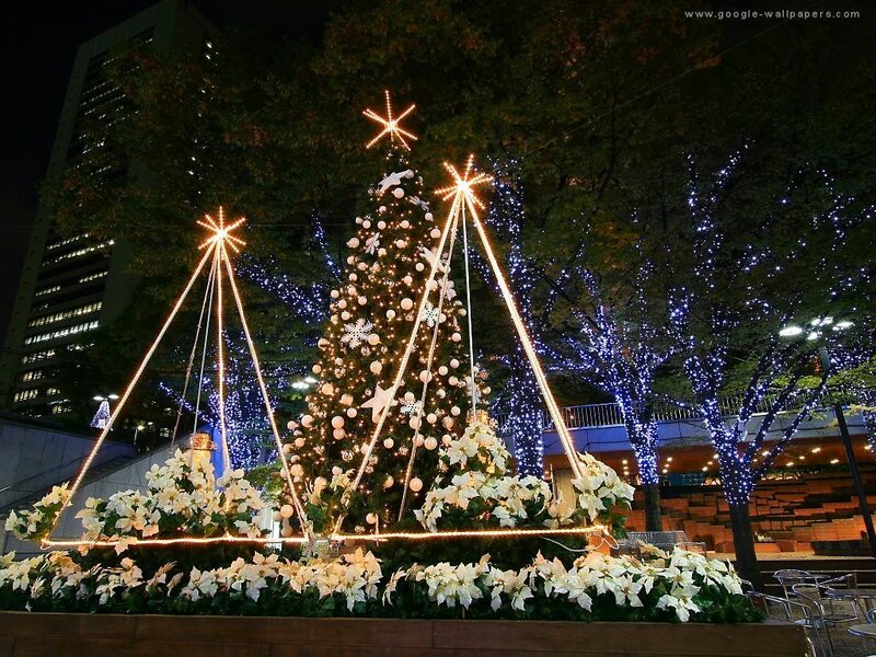 Christmas Tree Display — Green, Festive