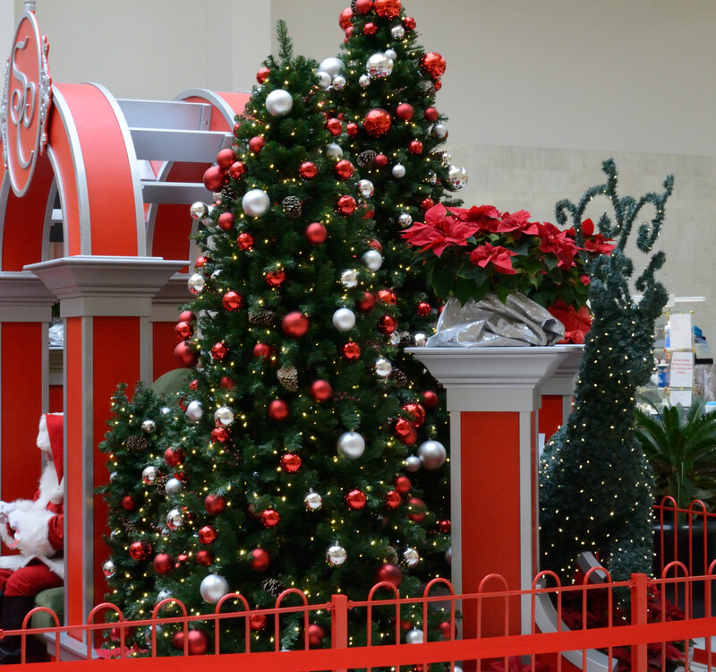 Christmas Tree Display — Red, Festive