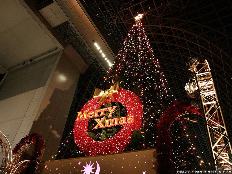 Christmas Tree Display — Red