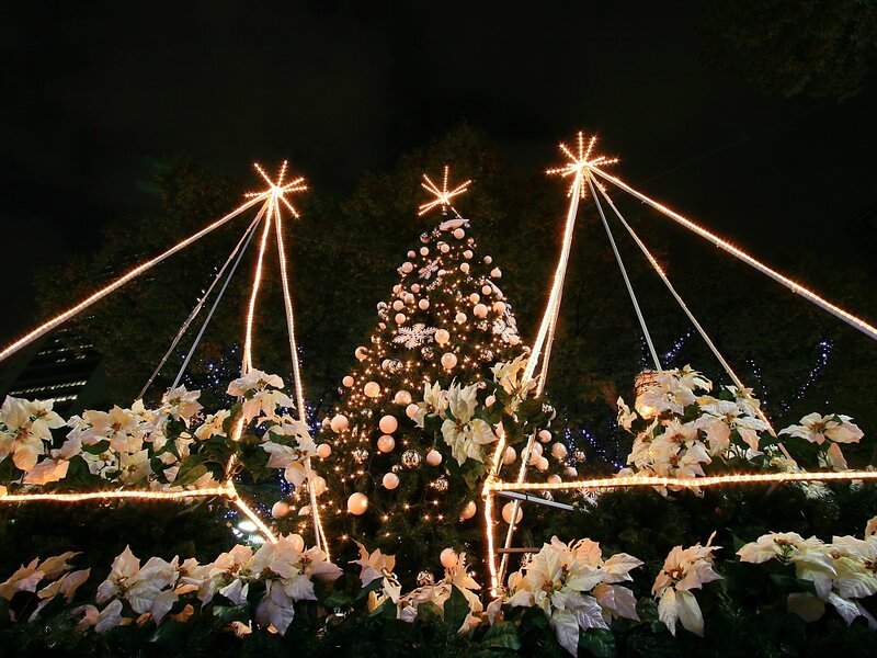 Christmas Tree Display — White