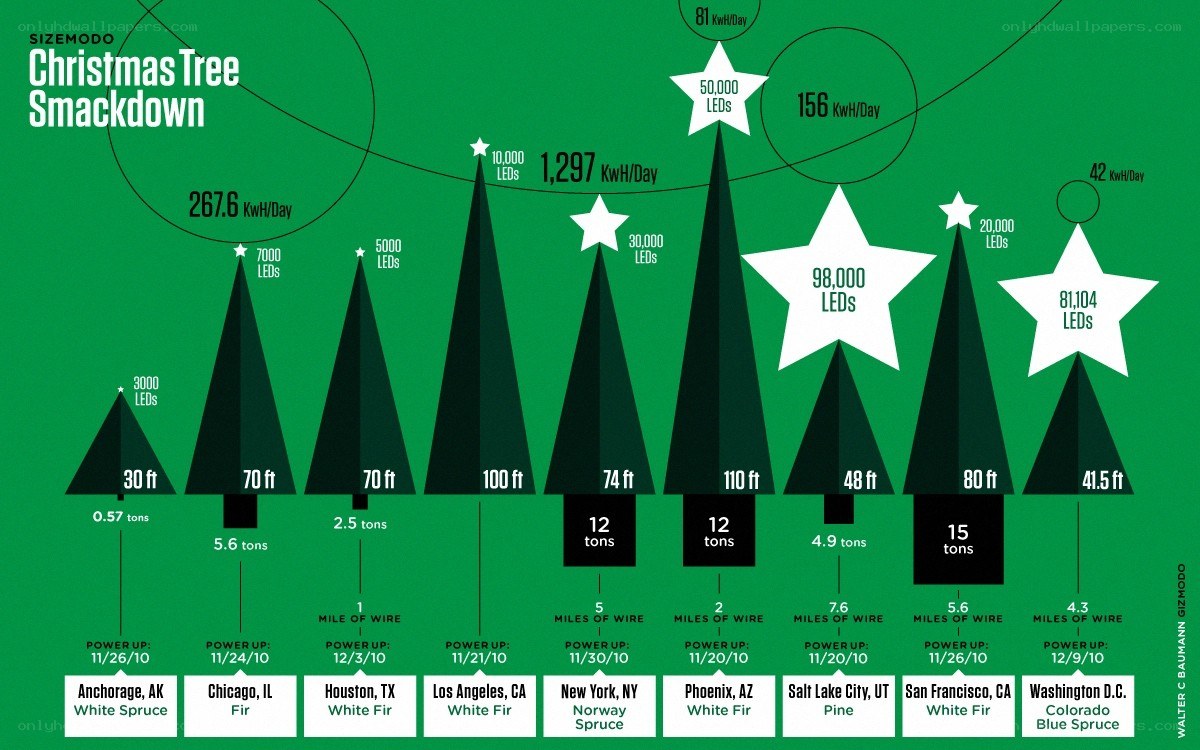 Christmas tree energy comparison