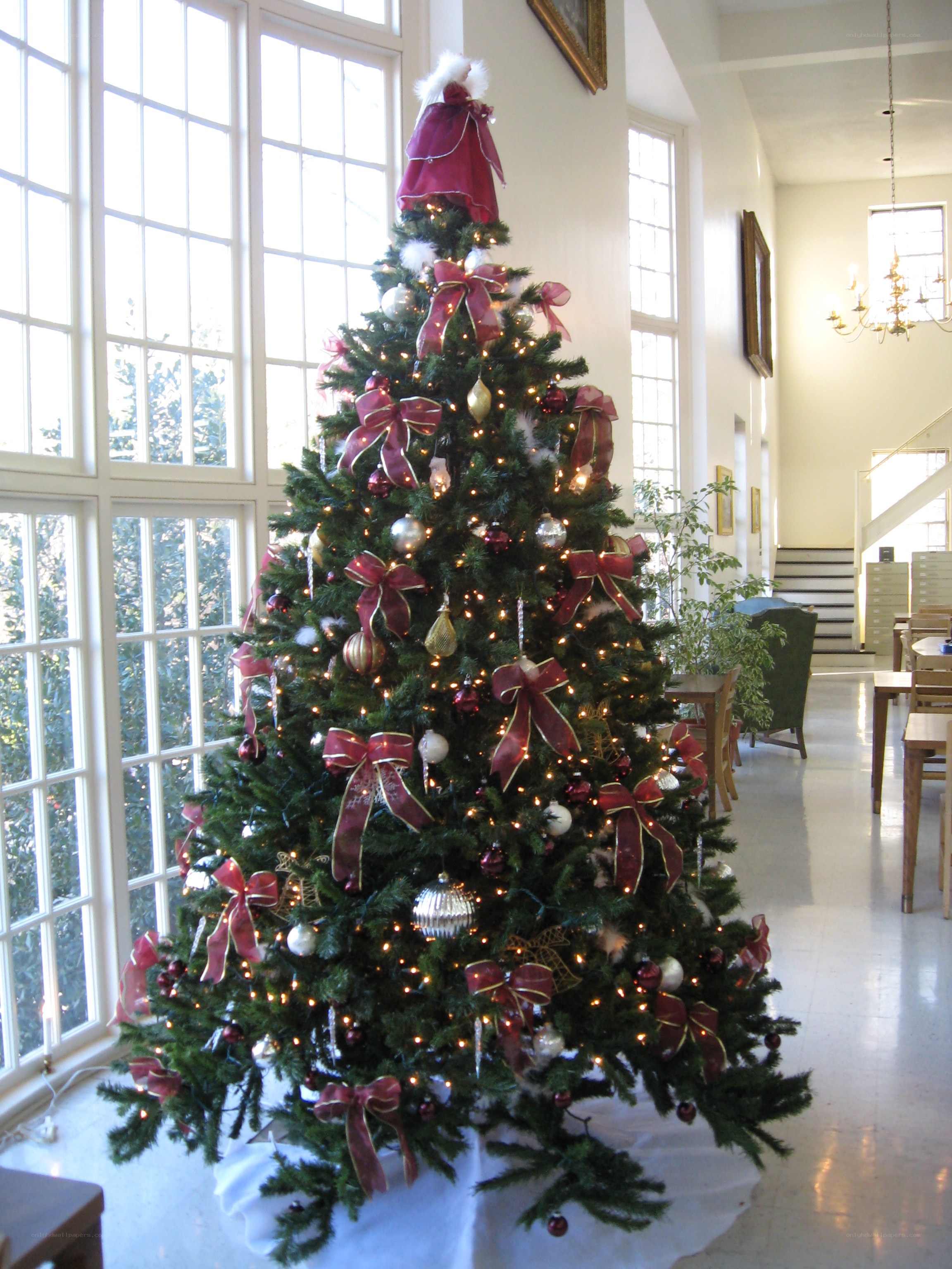 Christmas tree in a bright room