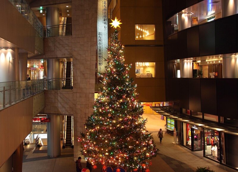 Christmas Tree in Atrium — Green