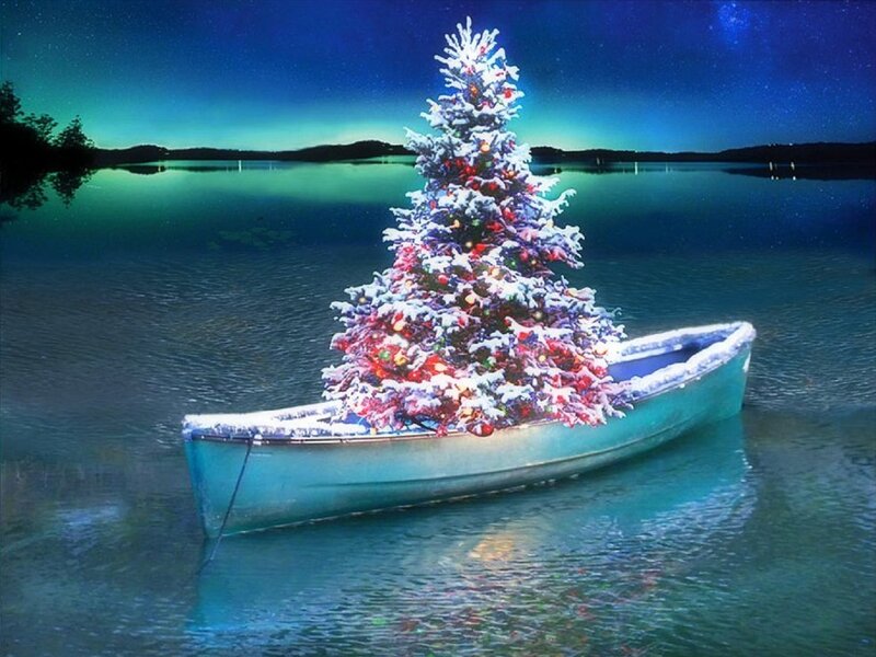 Christmas Tree in Boat