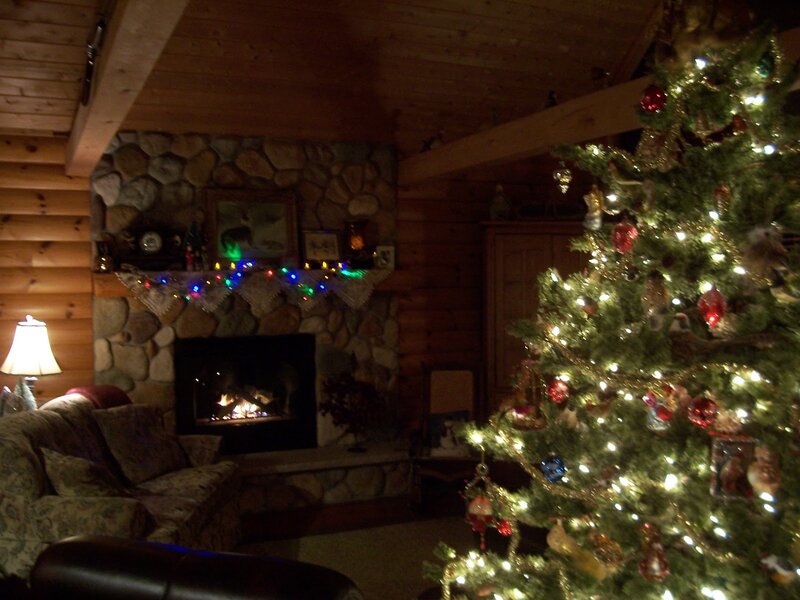 Christmas Tree in Cabin — Green