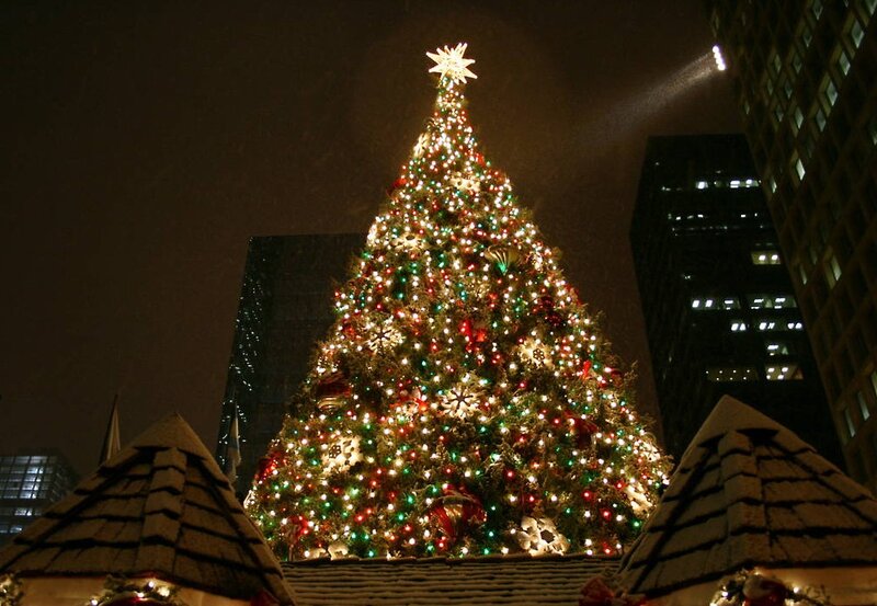 Christmas Tree in City — Green