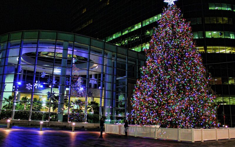 Christmas tree in city plaza