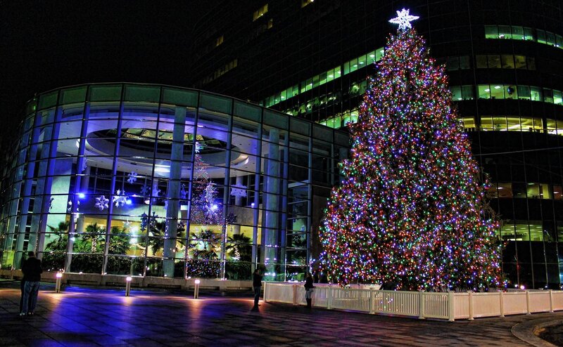 Christmas tree in city plaza