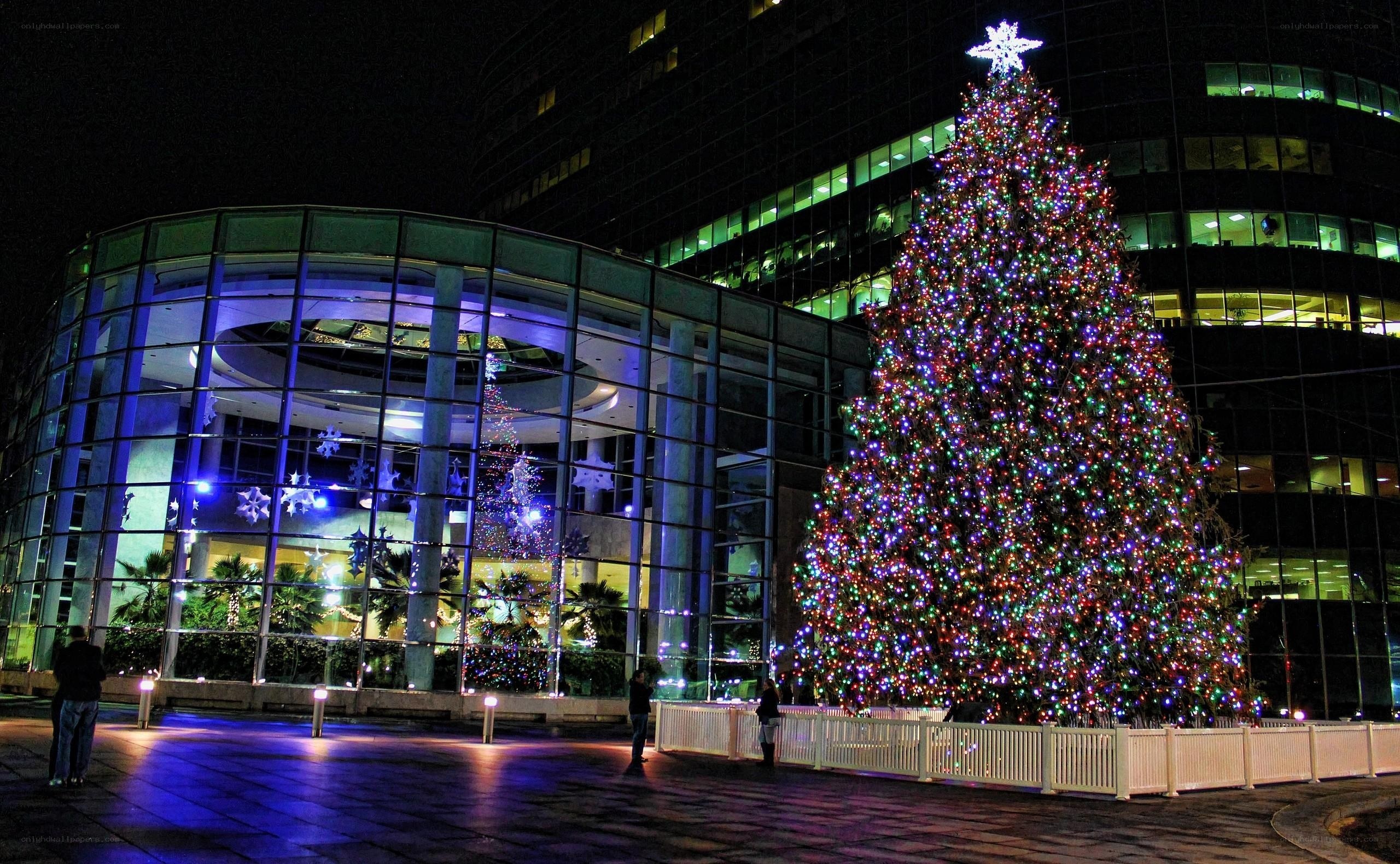 Christmas tree in city plaza