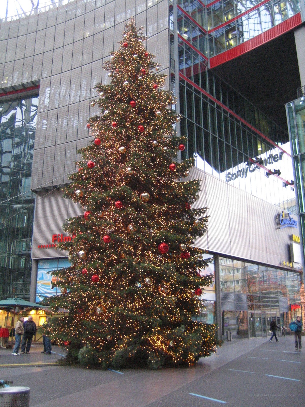 Christmas tree in city square