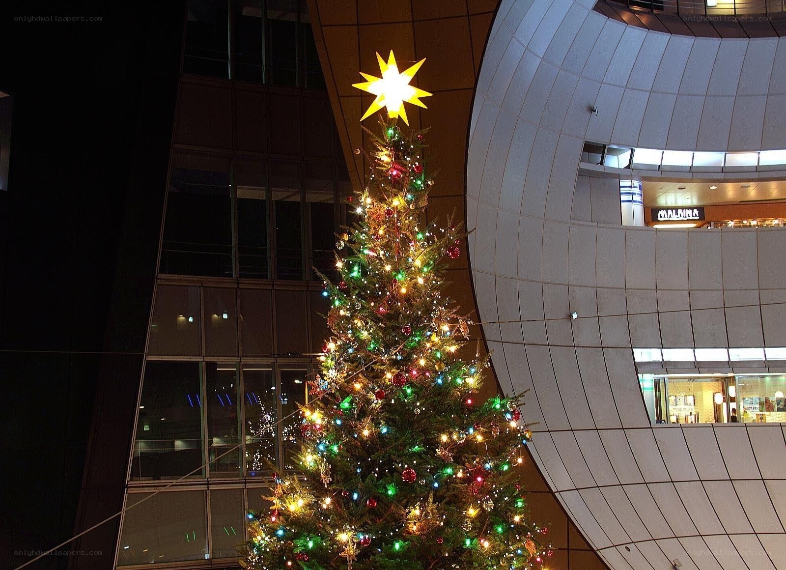 Christmas tree in city square
