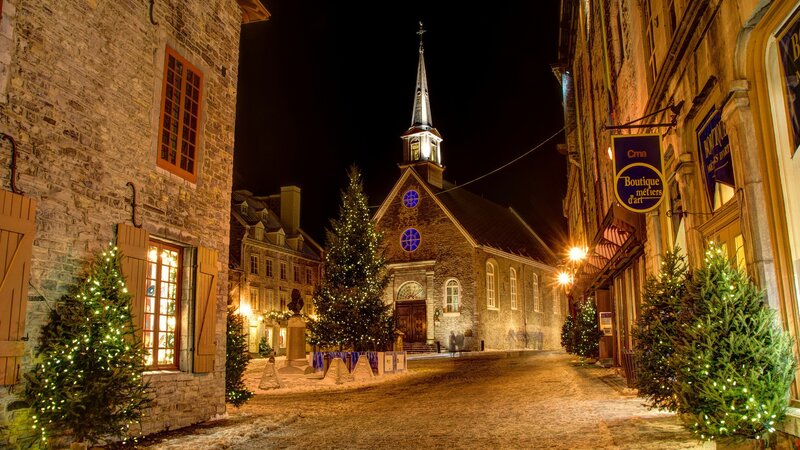 Christmas Tree in Courtyard — Brown, Festive