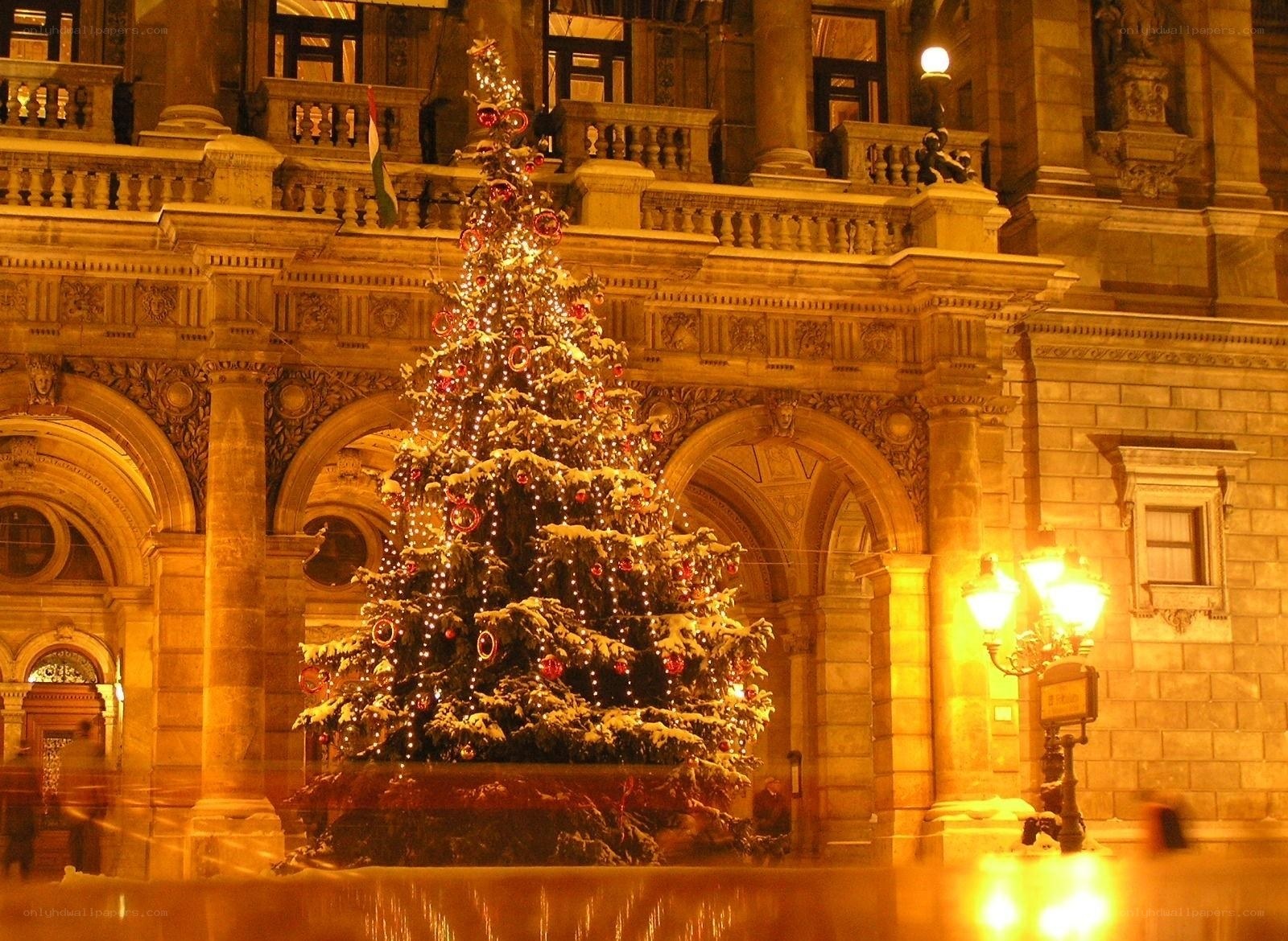 Christmas tree in front of a building