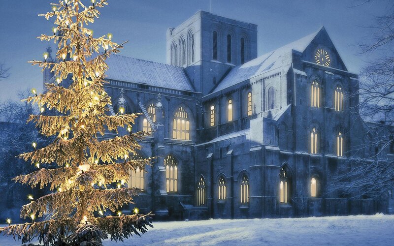 Christmas Tree in Front of Cathedral