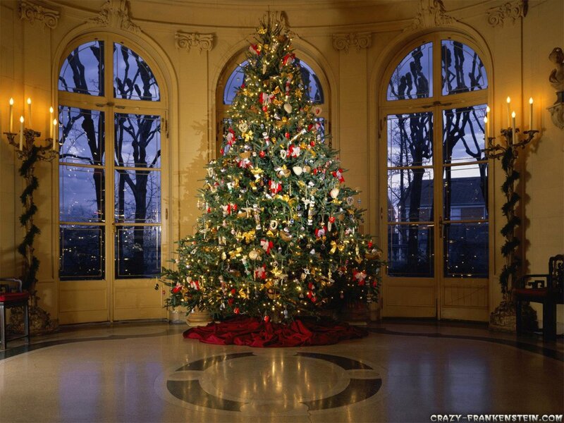 Christmas tree in grand hall