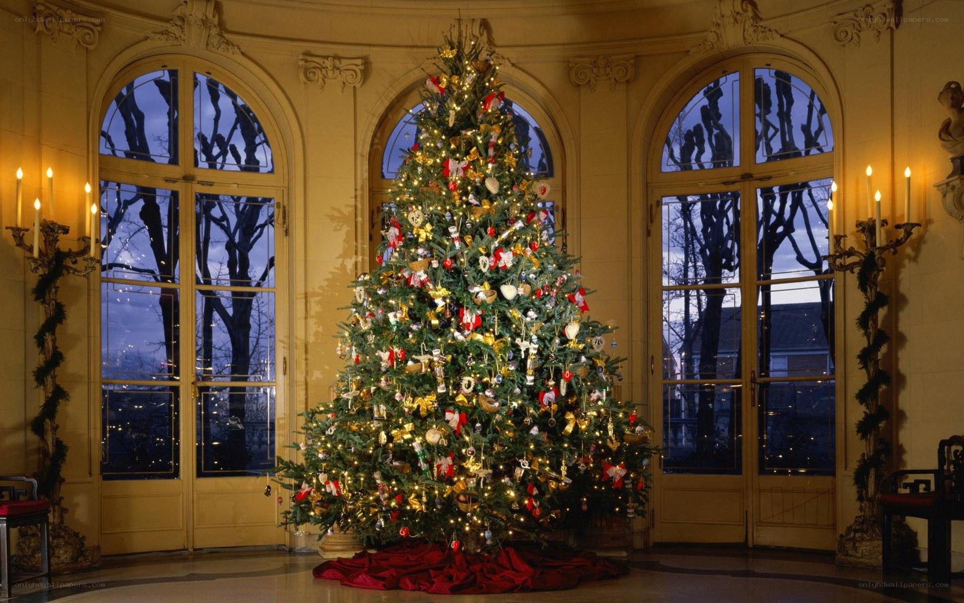 Christmas tree in grand hall