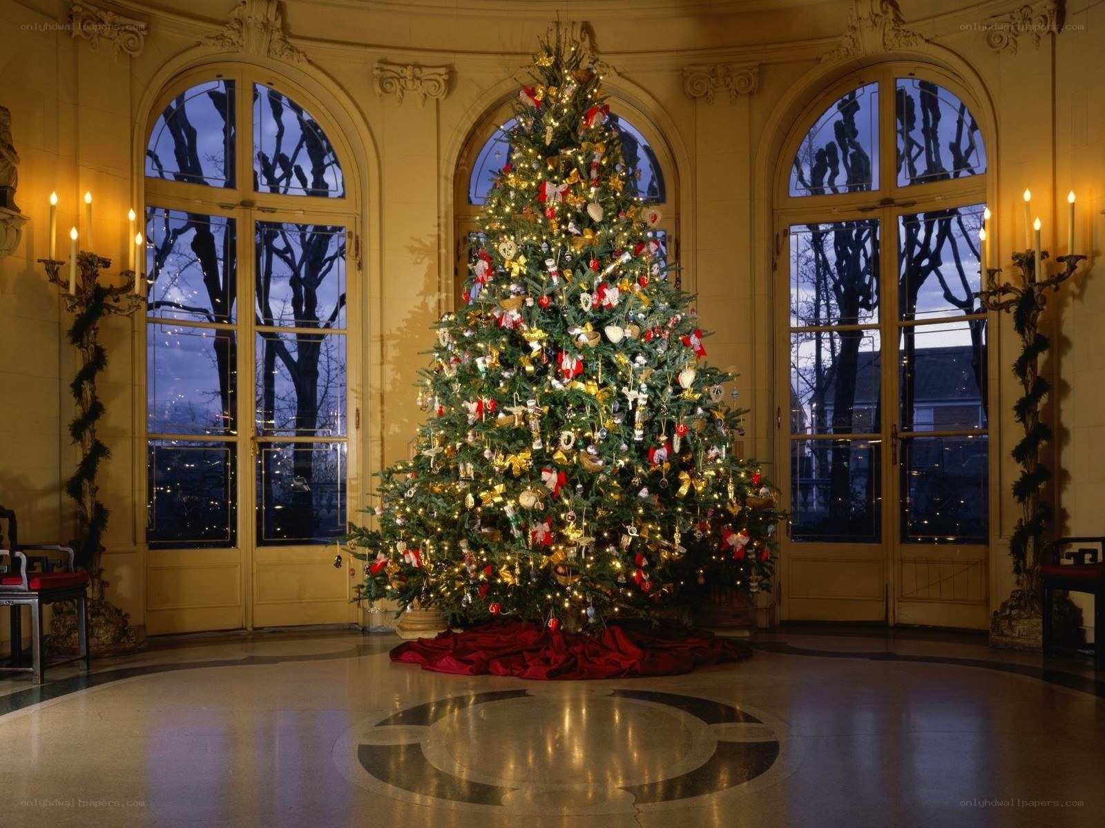 Christmas tree in grand hall