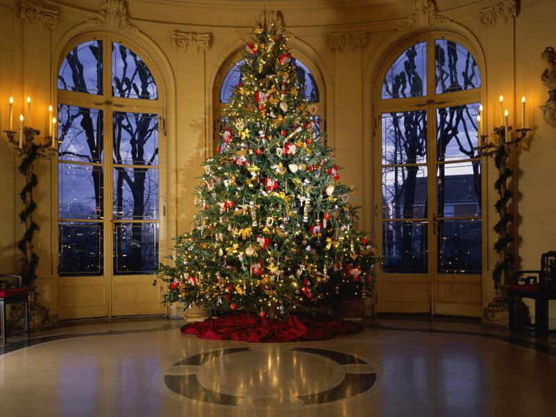 Christmas tree in grand hall