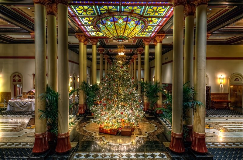 Christmas Tree in Grand Hall — Gold, Festive, Winter, Photograph, Stained Glass Ceiling