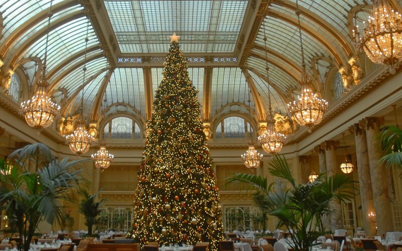 Christmas Tree in Grand Hall — Green, Festive, Winter, Photograph