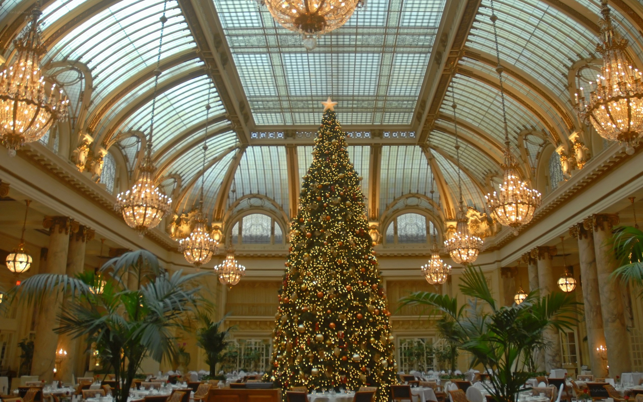 Christmas tree in grand hall