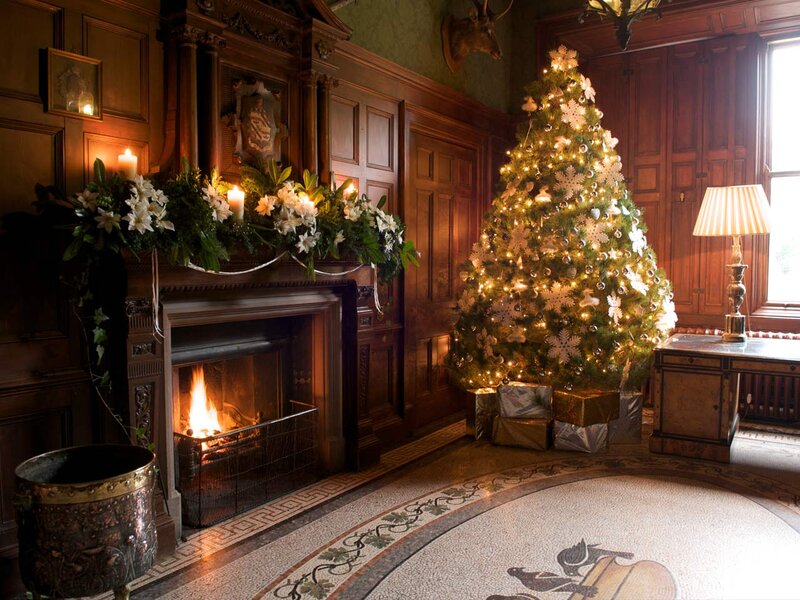 Christmas Tree in Hall — Brown